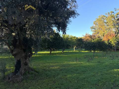 Quinta  Venda em Escalos de Baixo e Mata,Castelo Branco