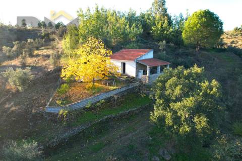 Quinta  Venda em Escalos de Baixo e Mata,Castelo Branco