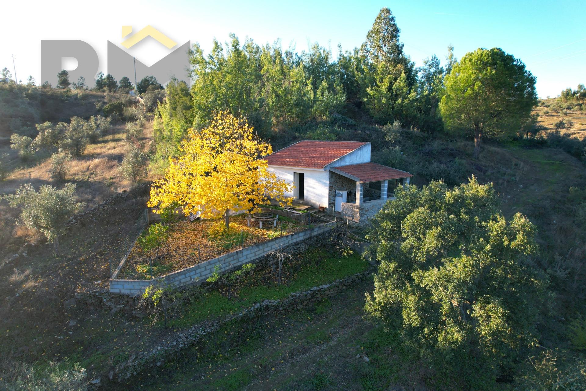 Quinta  Venda em Escalos de Baixo e Mata,Castelo Branco