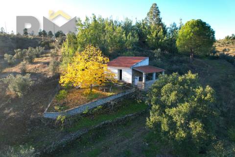 Quinta  Venda em Escalos de Baixo e Mata,Castelo Branco