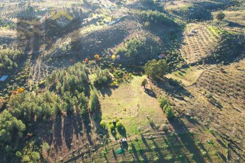 Quinta  Venda em Escalos de Baixo e Mata,Castelo Branco