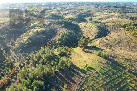 Quinta  Venda em Escalos de Baixo e Mata,Castelo Branco