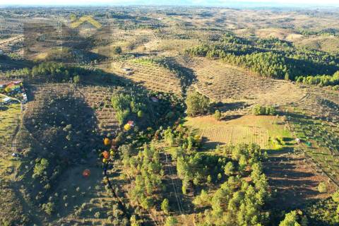 Quinta  Venda em Escalos de Baixo e Mata,Castelo Branco