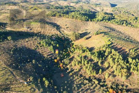 Quinta  Venda em Escalos de Baixo e Mata,Castelo Branco