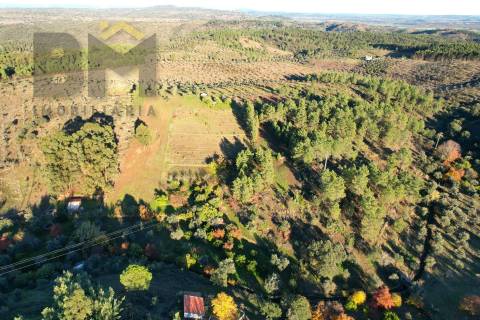 Quinta  Venda em Escalos de Baixo e Mata,Castelo Branco