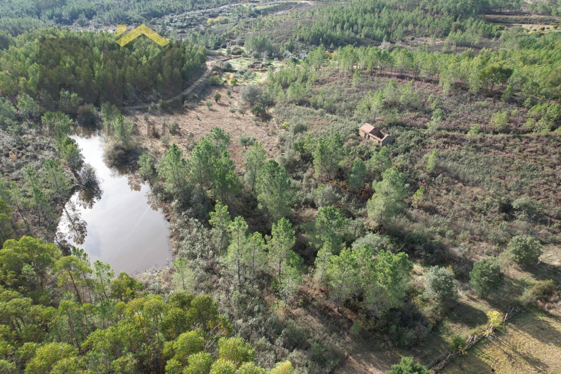 Terreno Rústico  Venda em Sarzedas,Castelo Branco