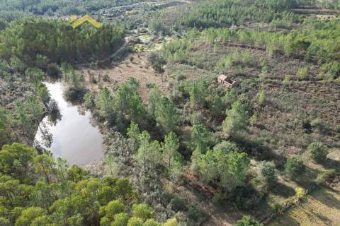 Terreno Rústico  Venda em Sarzedas,Castelo Branco