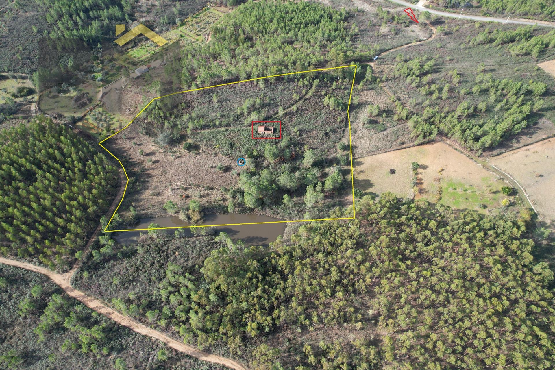 Terreno Rústico  Venda em Sarzedas,Castelo Branco