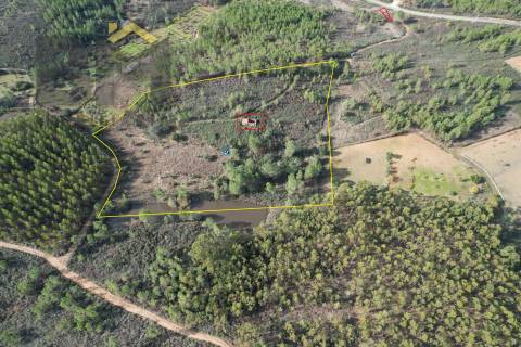 Terreno Rústico  Venda em Sarzedas,Castelo Branco