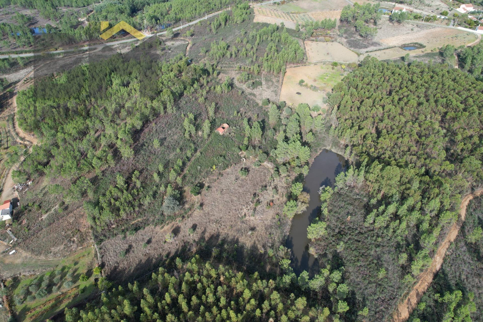 Terreno Rústico  Venda em Sarzedas,Castelo Branco
