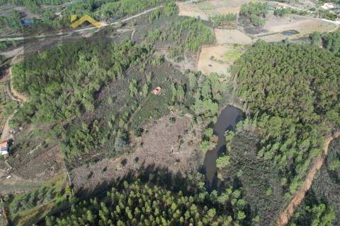 Terreno Rústico  Venda em Sarzedas,Castelo Branco