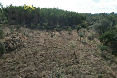 Terreno Rústico  Venda em Sarzedas,Castelo Branco
