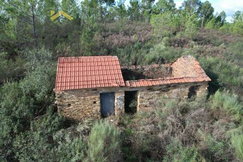 Terreno Rústico  Venda em Sarzedas,Castelo Branco