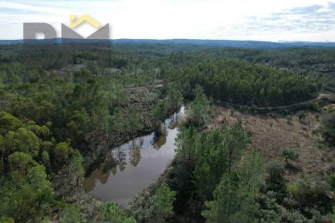 Terreno Rústico  Venda em Sarzedas,Castelo Branco