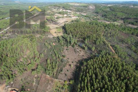Terreno Rústico  Venda em Sarzedas,Castelo Branco