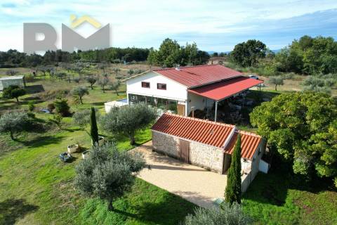 Quinta  Venda em Lardosa,Castelo Branco