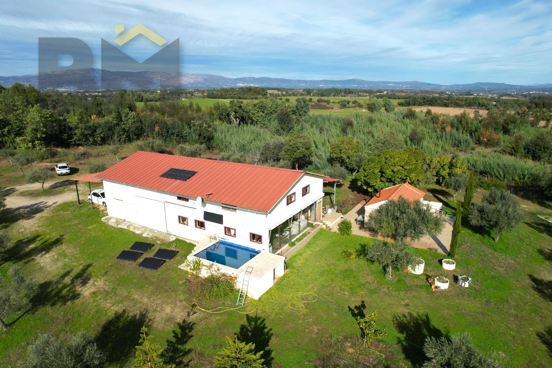 Quinta  Venda em Lardosa,Castelo Branco