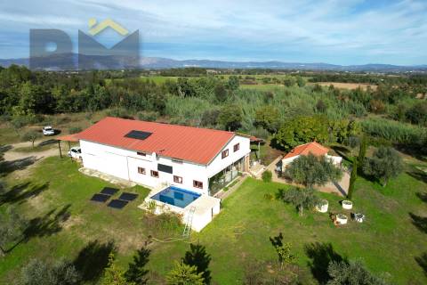 Quinta  Venda em Lardosa,Castelo Branco