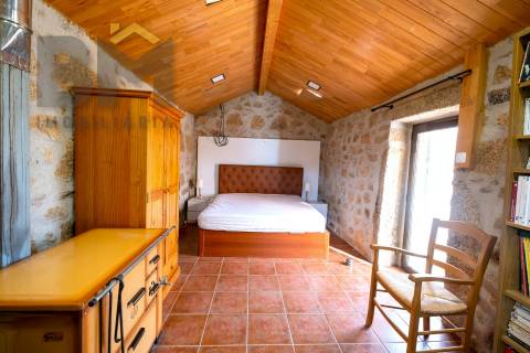 Quinta  Venda em Lardosa,Castelo Branco