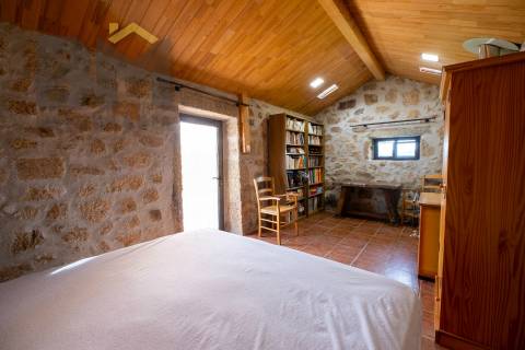 Quinta  Venda em Lardosa,Castelo Branco