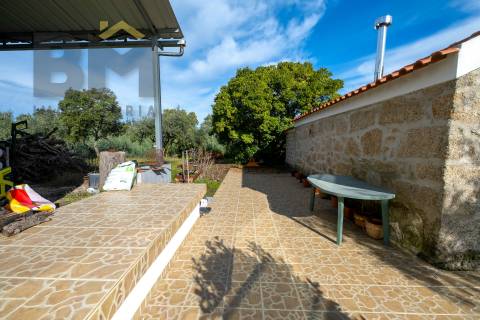 Quinta  Venda em Lardosa,Castelo Branco