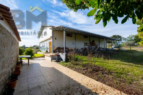 Quinta  Venda em Lardosa,Castelo Branco