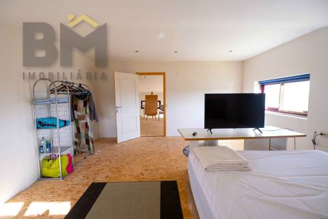 Quinta  Venda em Lardosa,Castelo Branco