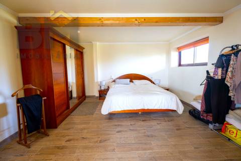 Quinta  Venda em Lardosa,Castelo Branco