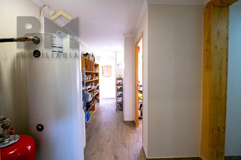 Quinta  Venda em Lardosa,Castelo Branco