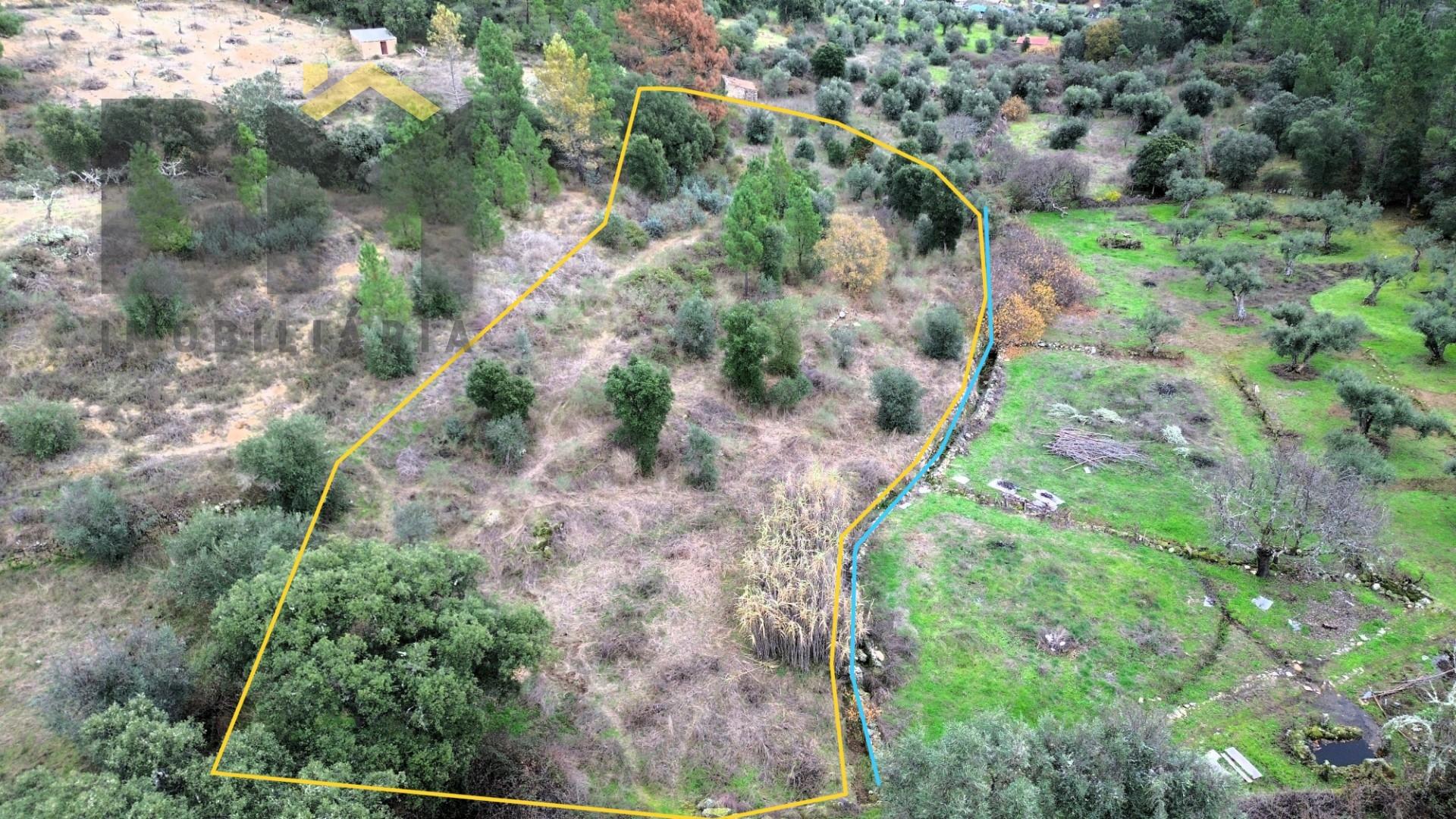 Terreno Rústico  Venda em Salgueiro do Campo,Castelo Branco