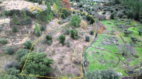 Terreno Rústico  Venda em Salgueiro do Campo,Castelo Branco