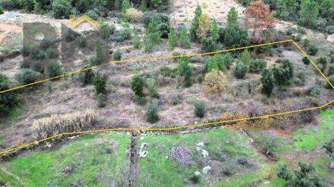 Terreno Rústico  Venda em Salgueiro do Campo,Castelo Branco