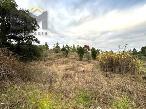 Terreno Rústico  Venda em Salgueiro do Campo,Castelo Branco