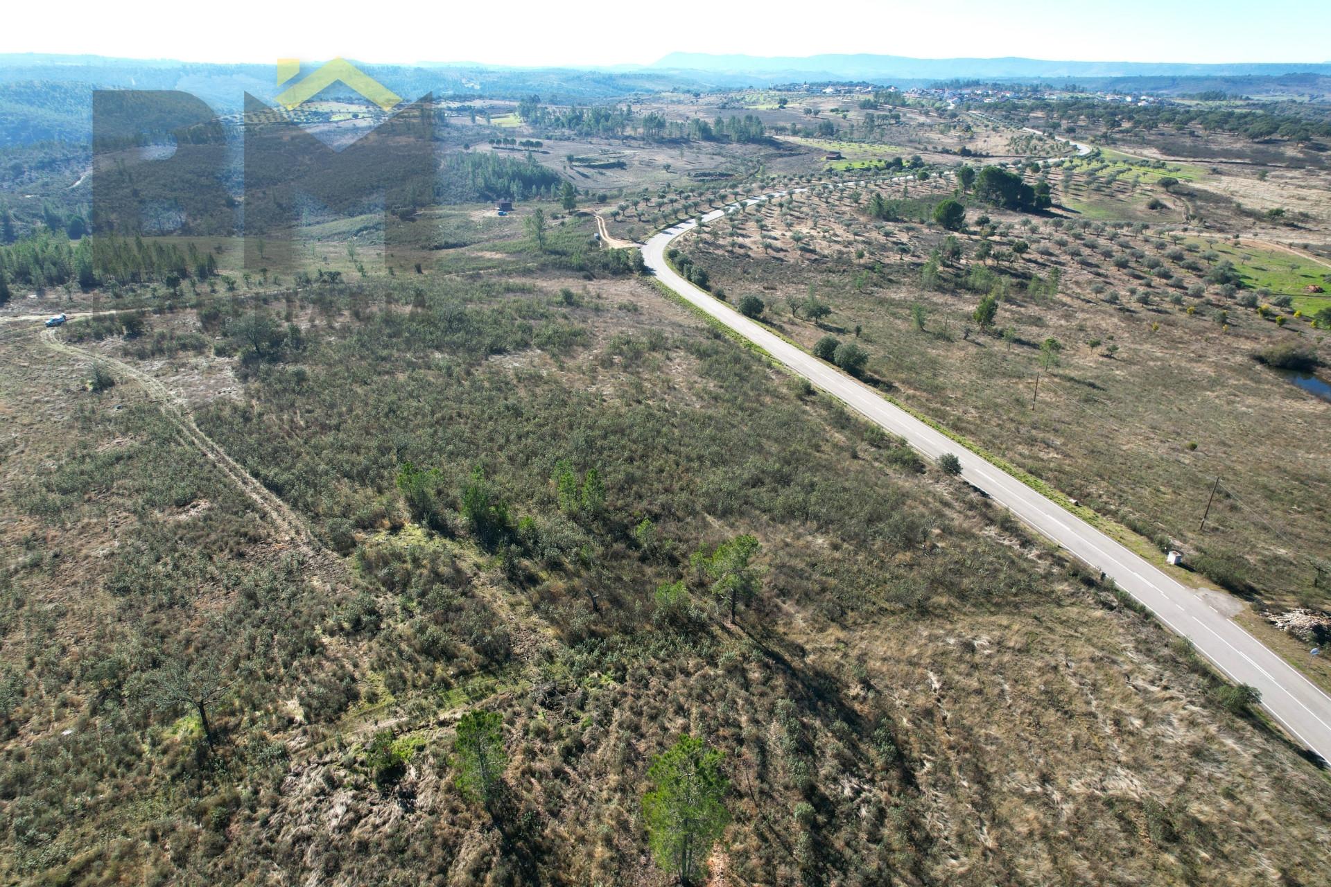 Terreno Rústico  Venda em Perais,Vila Velha de Ródão