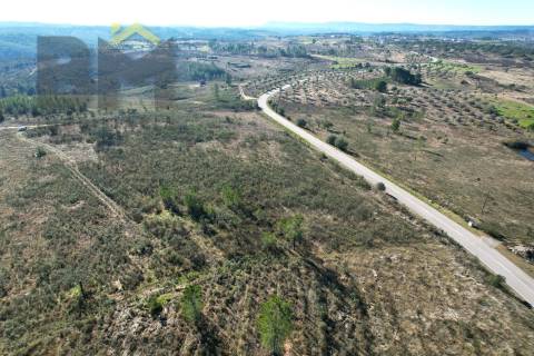 Terreno Rústico  Venda em Perais,Vila Velha de Ródão