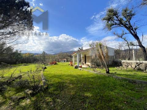 Quinta  Venda em Soalheira,Fundão