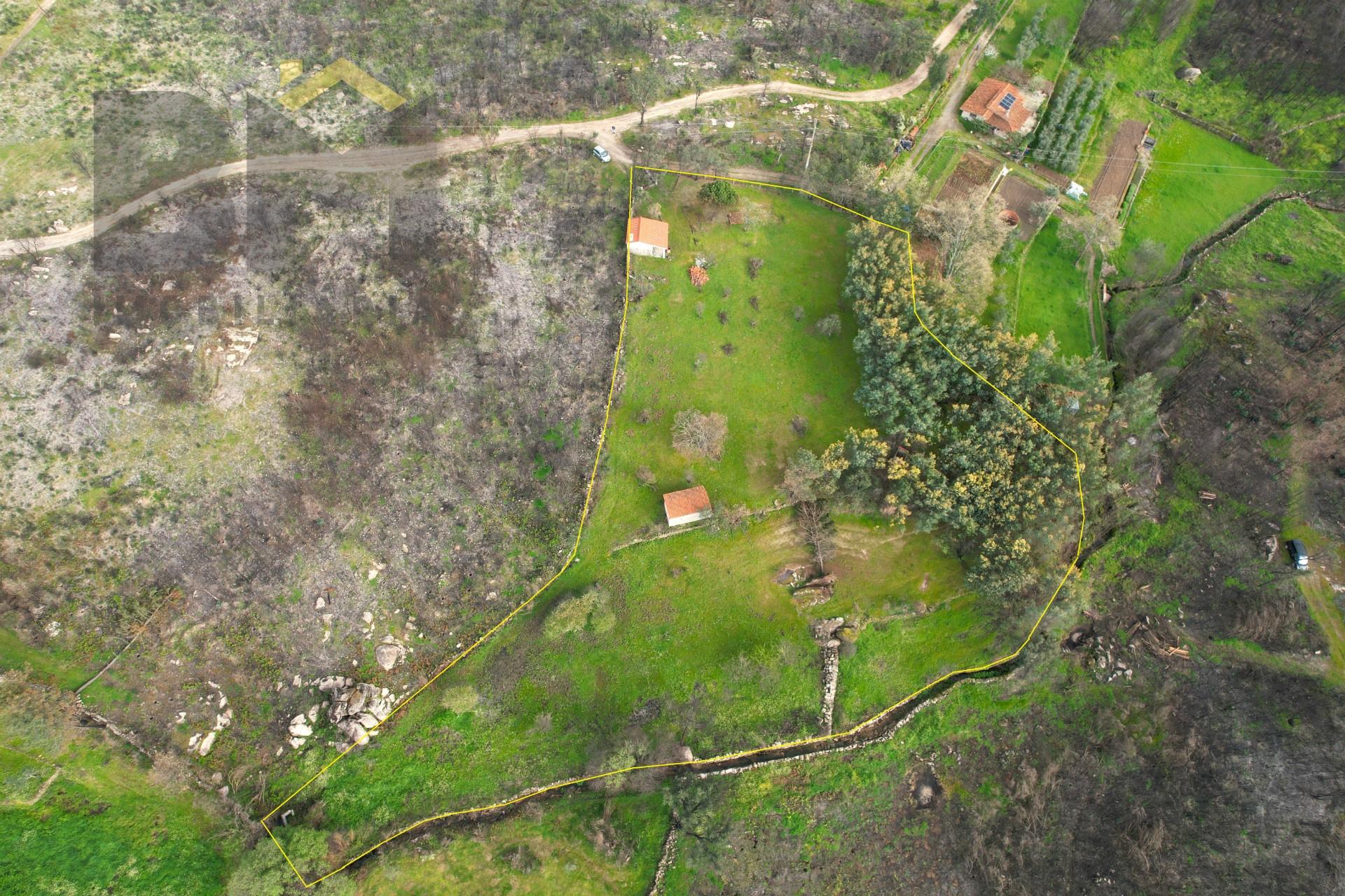 Quinta  Venda em Soalheira,Fundão