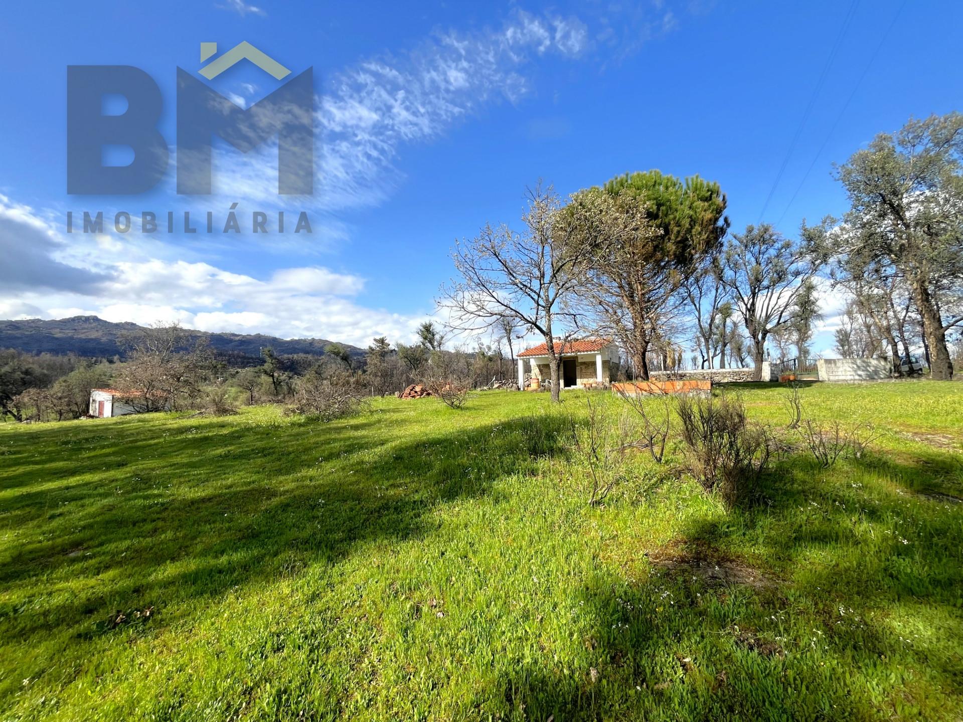 Quinta  Venda em Soalheira,Fundão