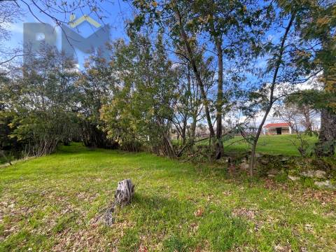 Quinta  Venda em Soalheira,Fundão