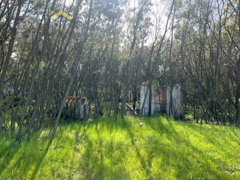 Quinta  Venda em Soalheira,Fundão