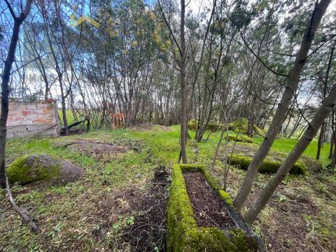 Quinta  Venda em Soalheira,Fundão