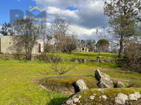 Quinta  Venda em Soalheira,Fundão