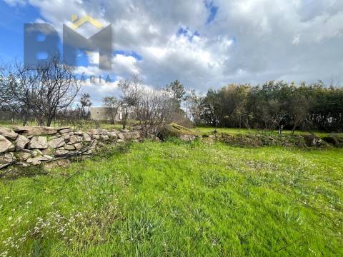 Quinta  Venda em Soalheira,Fundão