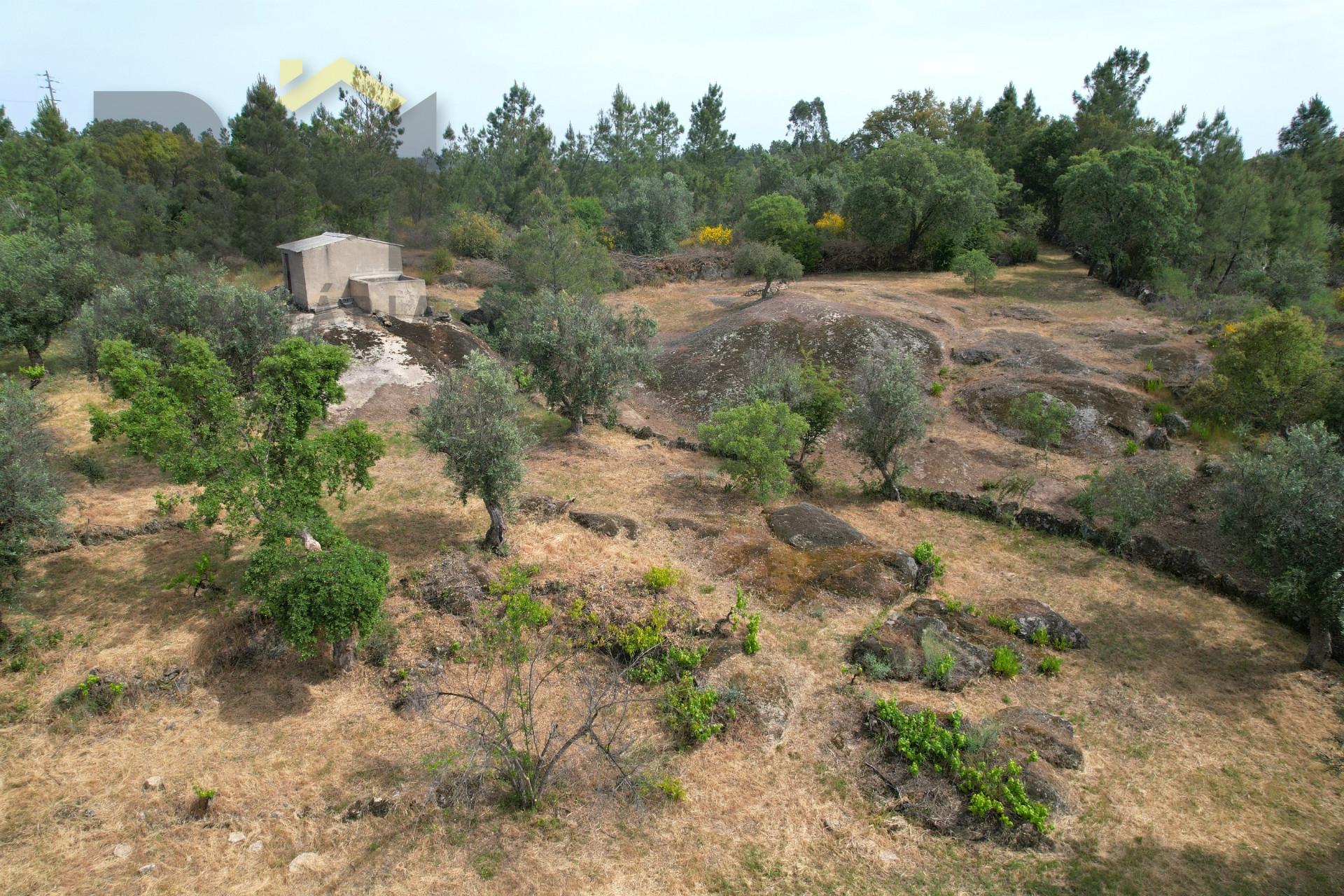 Quinta  Venda em Freixial e Juncal do Campo,Castelo Branco