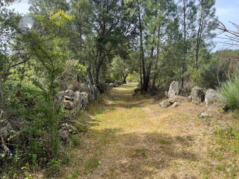 Quinta  Venda em Freixial e Juncal do Campo,Castelo Branco