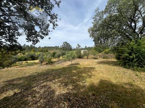 Quinta  Venda em Freixial e Juncal do Campo,Castelo Branco
