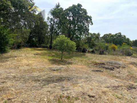 Quinta  Venda em Freixial e Juncal do Campo,Castelo Branco