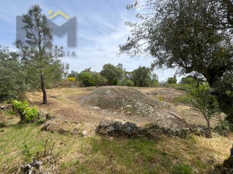 Quinta  Venda em Freixial e Juncal do Campo,Castelo Branco