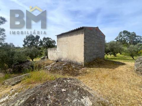 Quinta  Venda em Freixial e Juncal do Campo,Castelo Branco