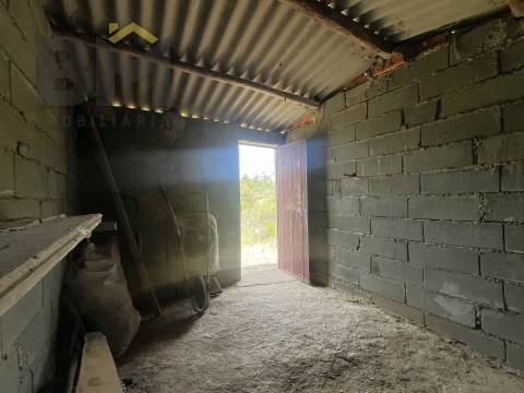 Quinta  Venda em Freixial e Juncal do Campo,Castelo Branco